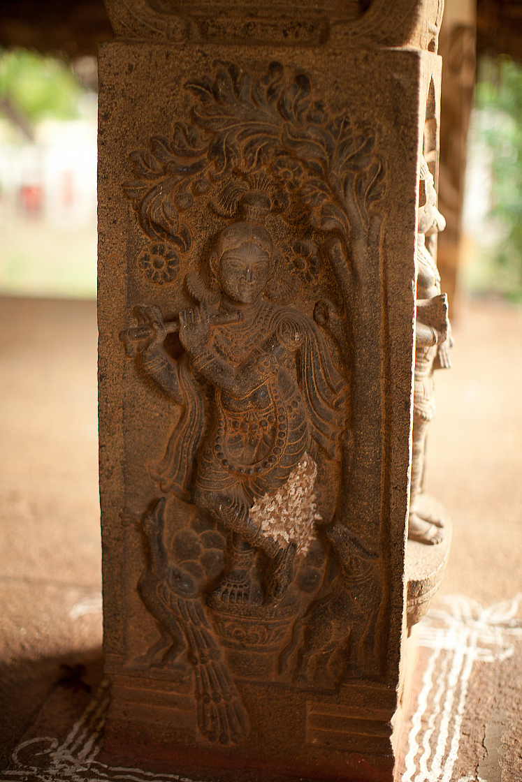 2011-01-03 17-10-07 IMG 4095