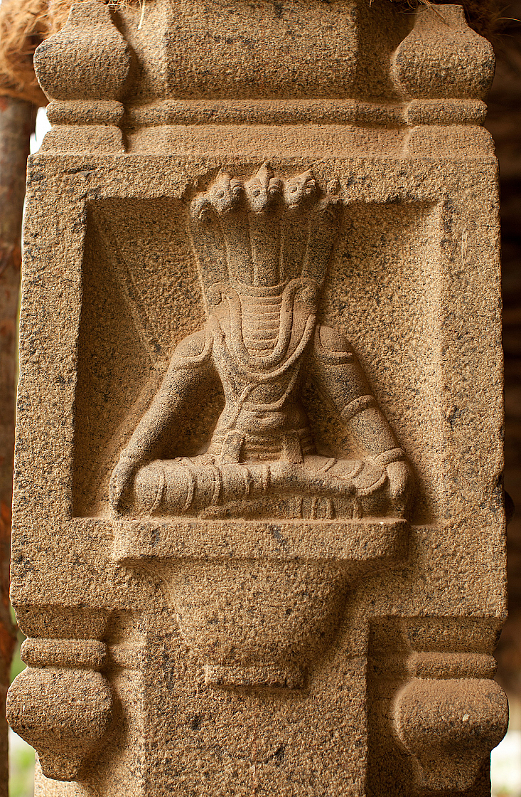 2011-01-03 17-10-26 IMG 4097