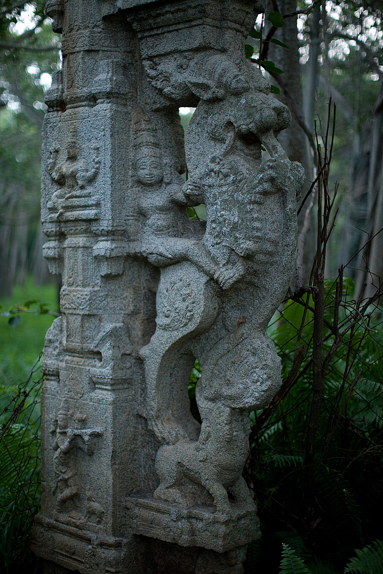 2011-01-04 06-31-55 IMG 4229