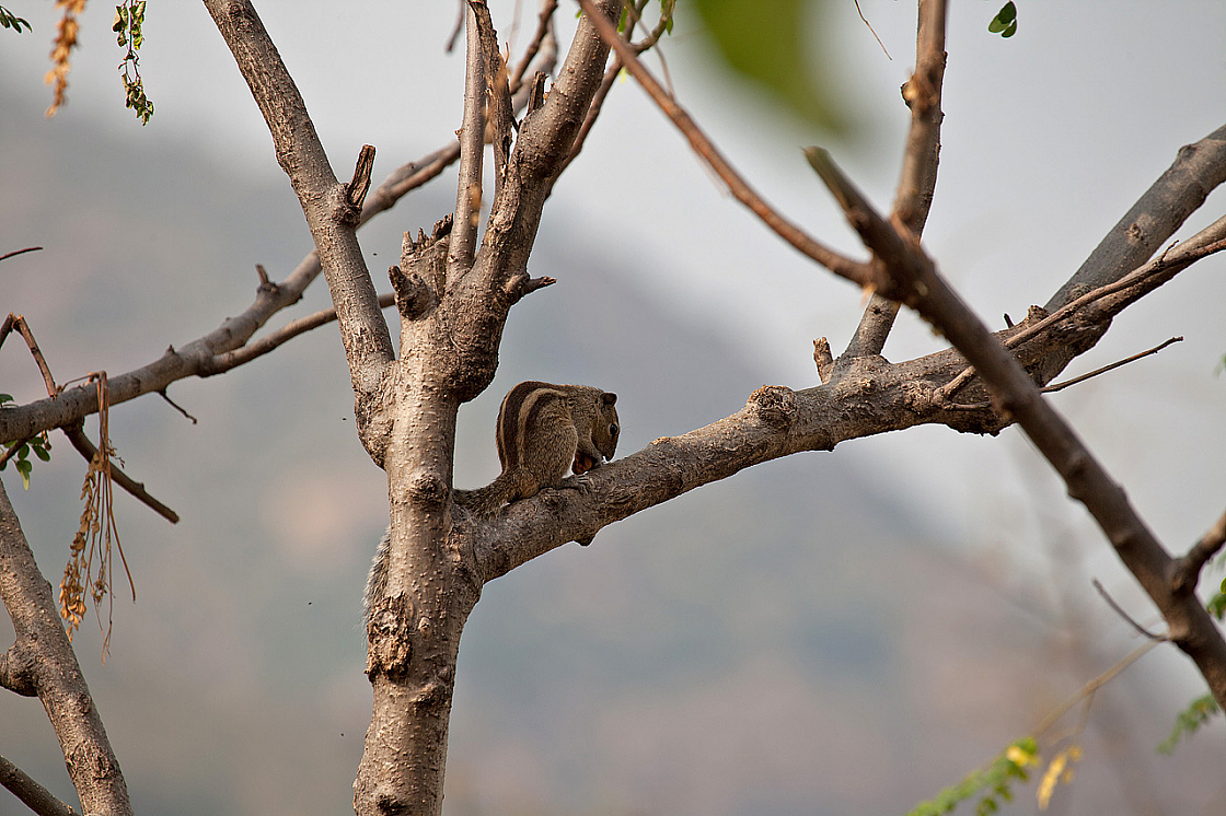 2011-01-06 15-06-43 IMG 4808