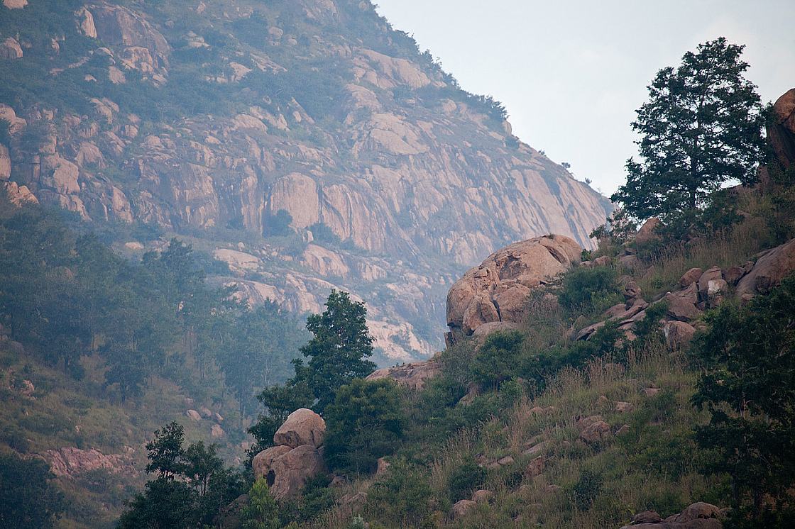 2011-01-08 06-56-43 IMG 5797