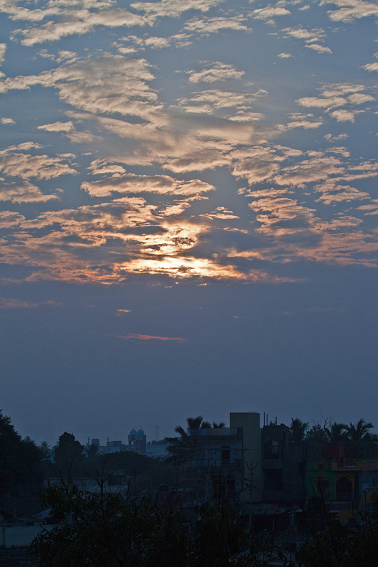 2011-01-08 07-02-02 IMG 5840