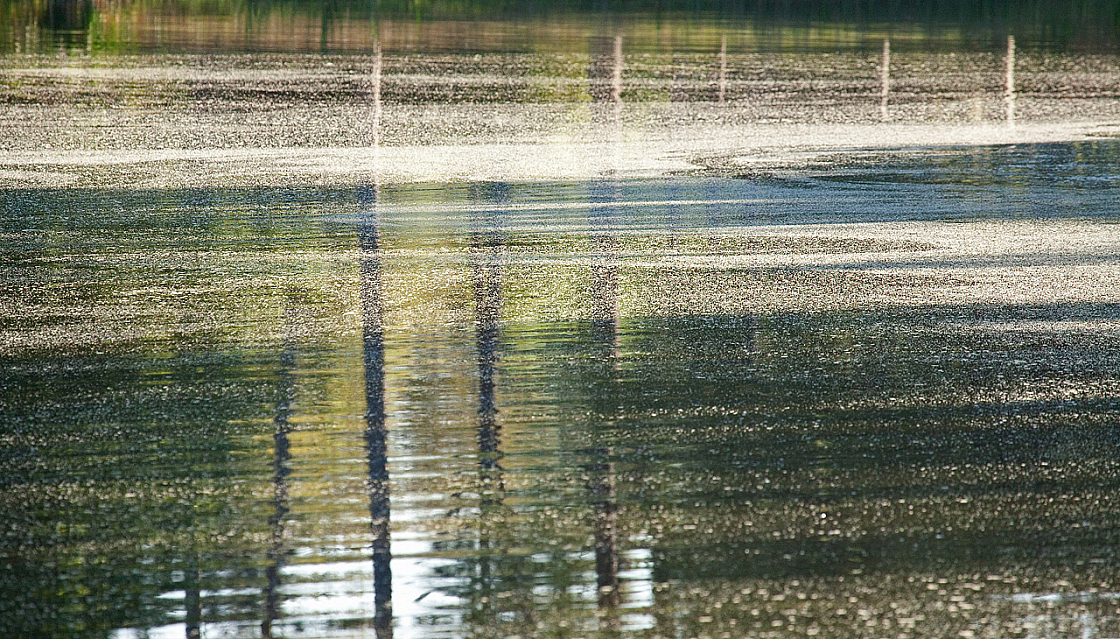 IMG_5890.jpg