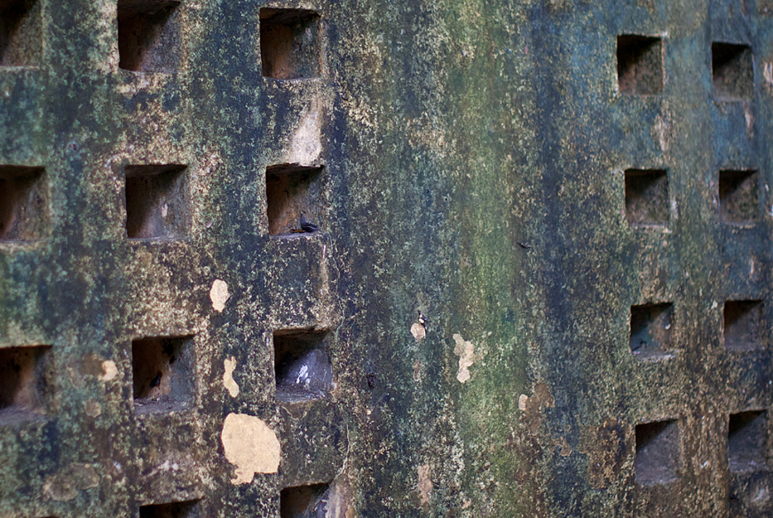 2011-01-03 07-07-15 IMG 3357