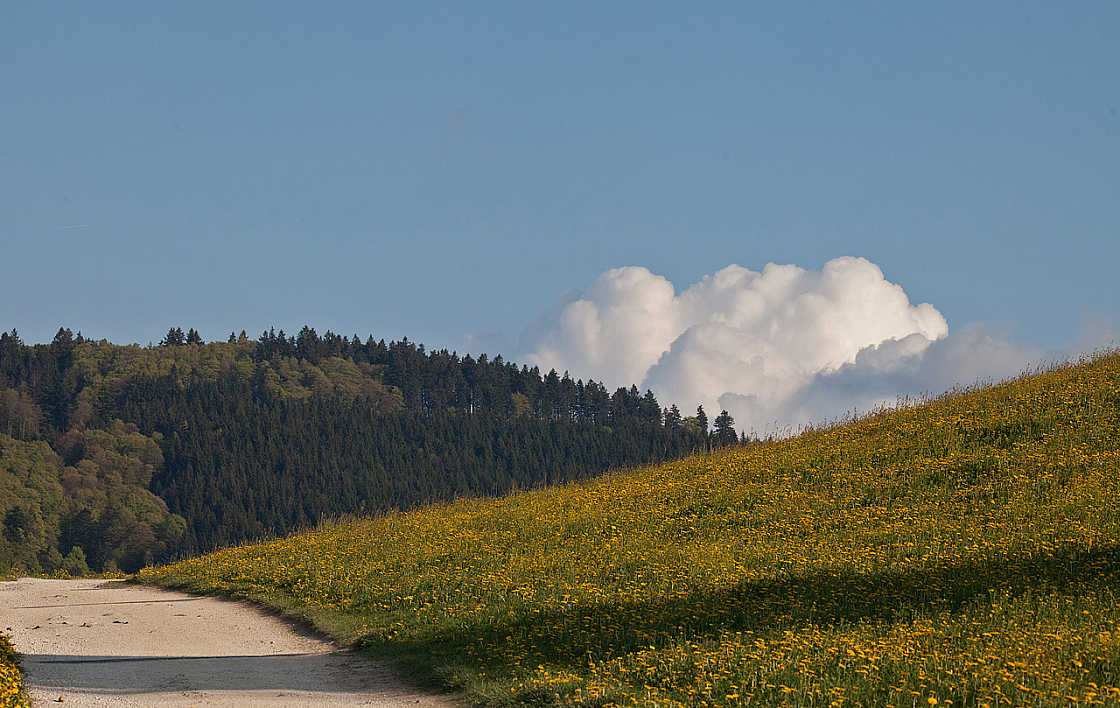 2011-04-27 17-28-20 IMG 8275