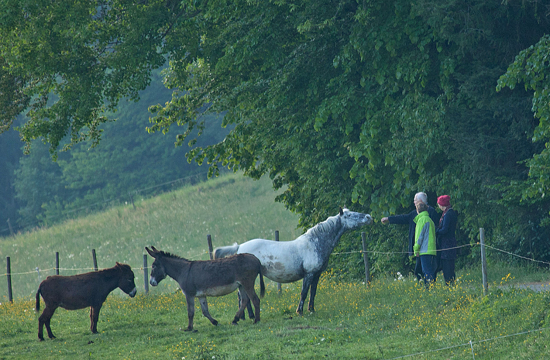 2011-04-27 18-14-37 IMG 8328