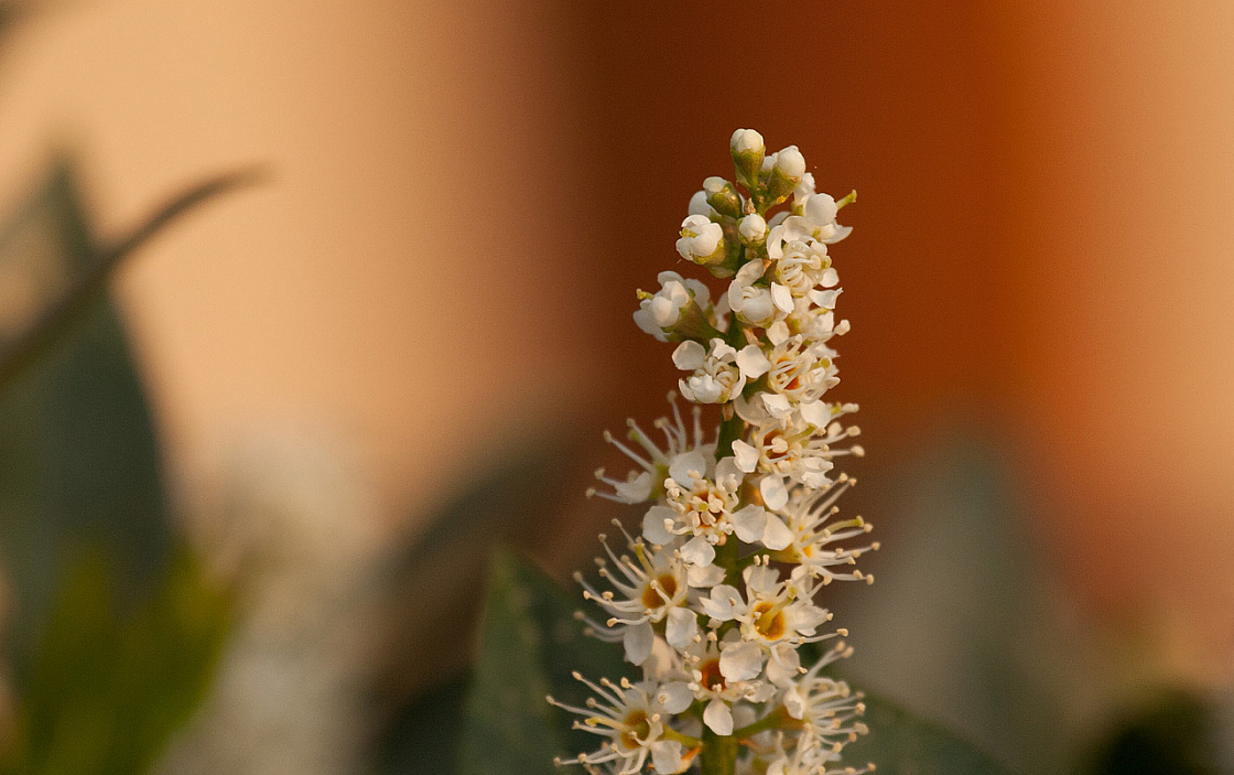 2011-04-28 18-09-47 IMG 8513