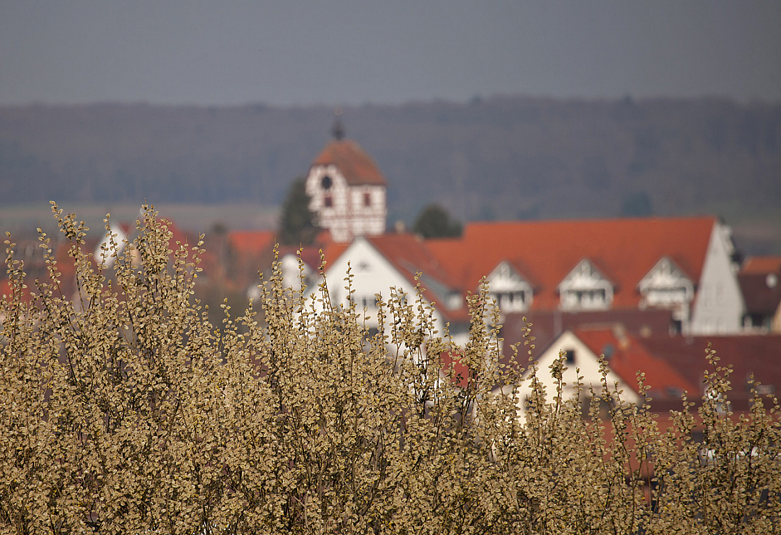 IMG 7640