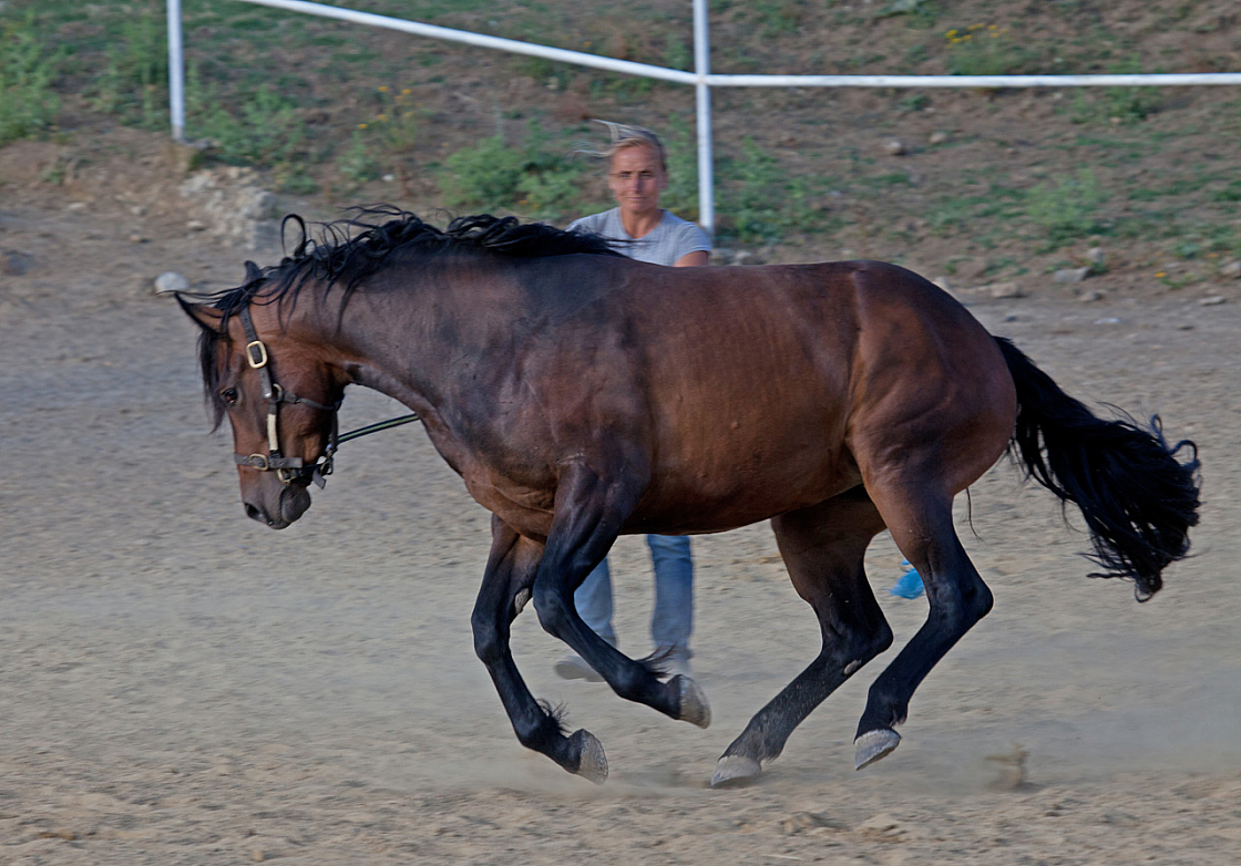 20110618184343 3437