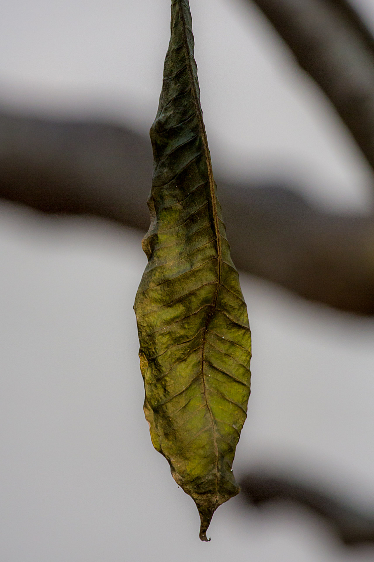 20130105082712 27354
