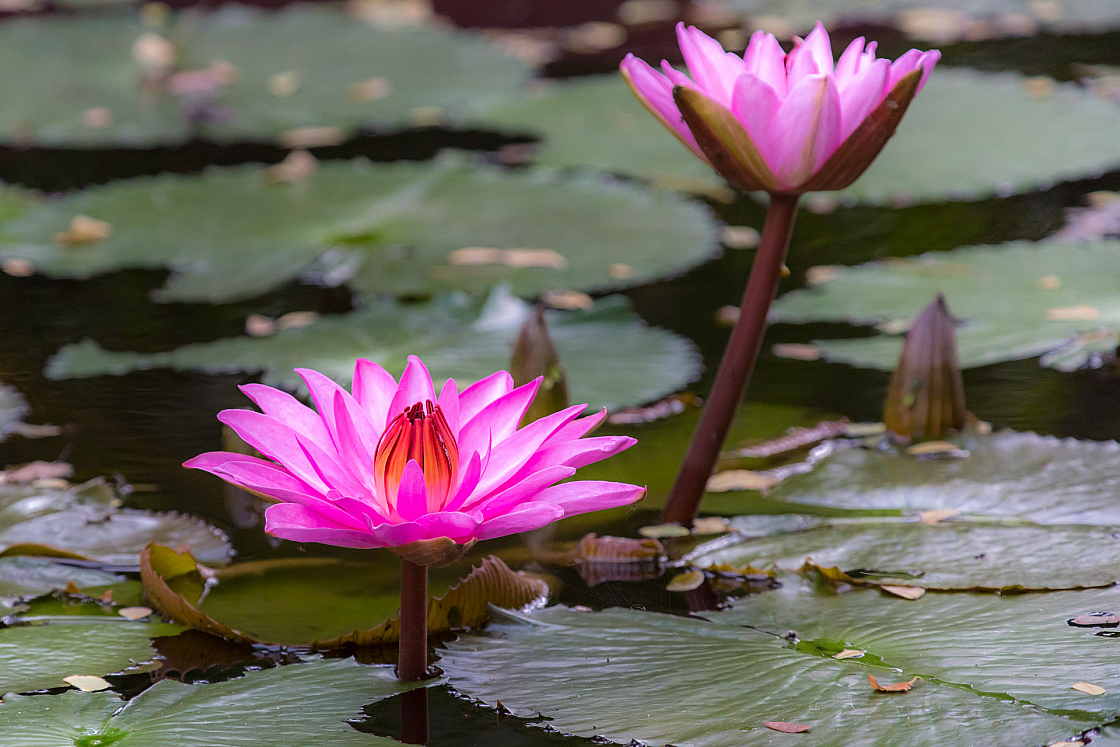 20130105084935 27521