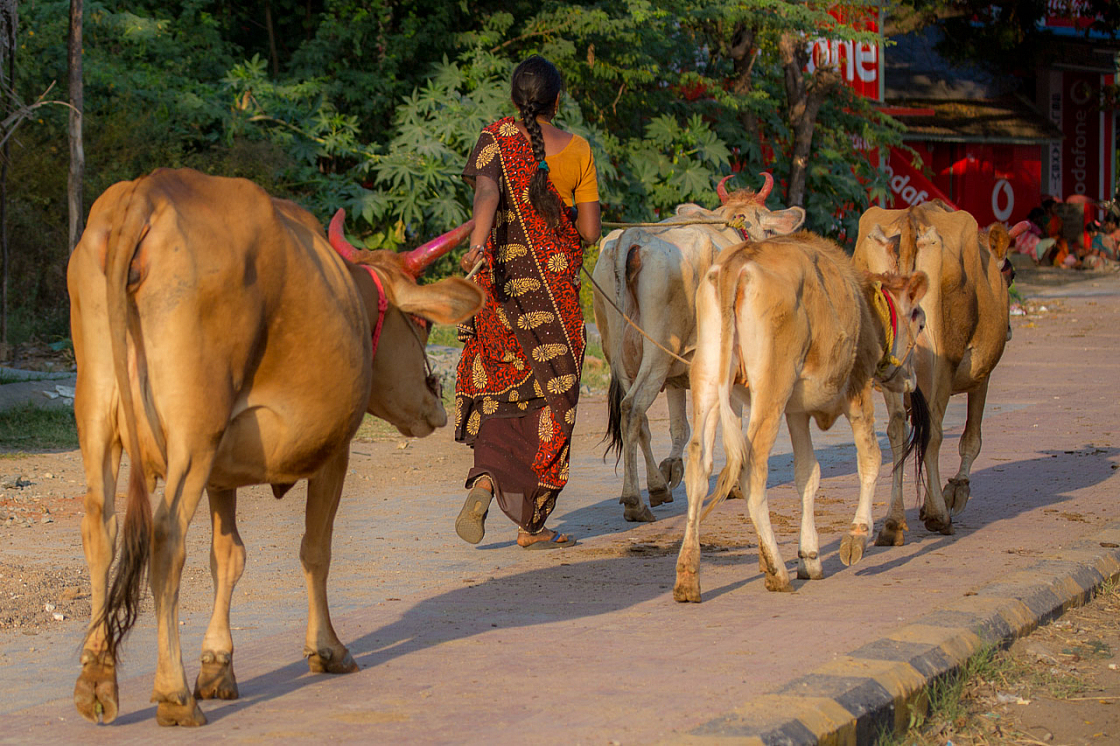 20130116170135 23091