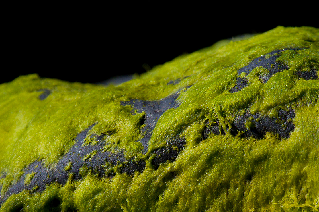 20120601184710 2621