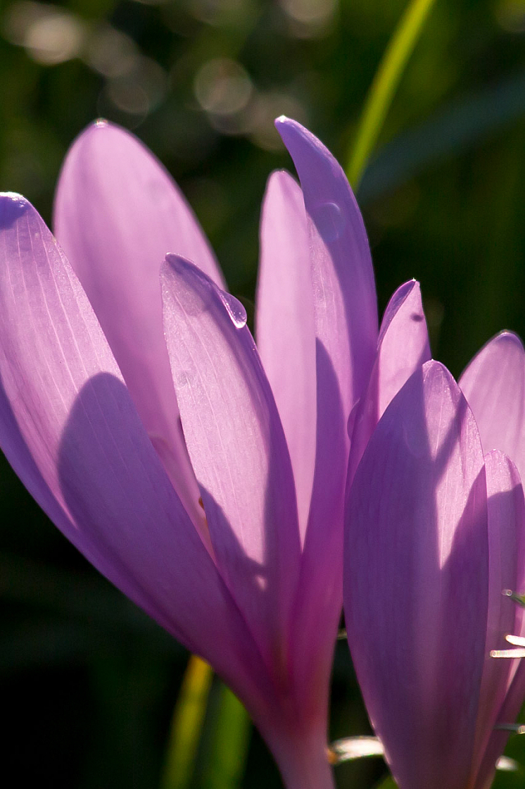 20120922181406 15765