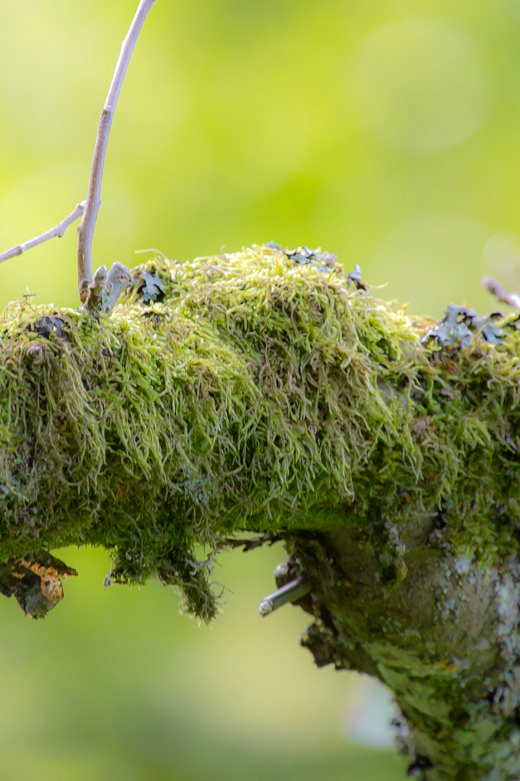 20120923160532 15852