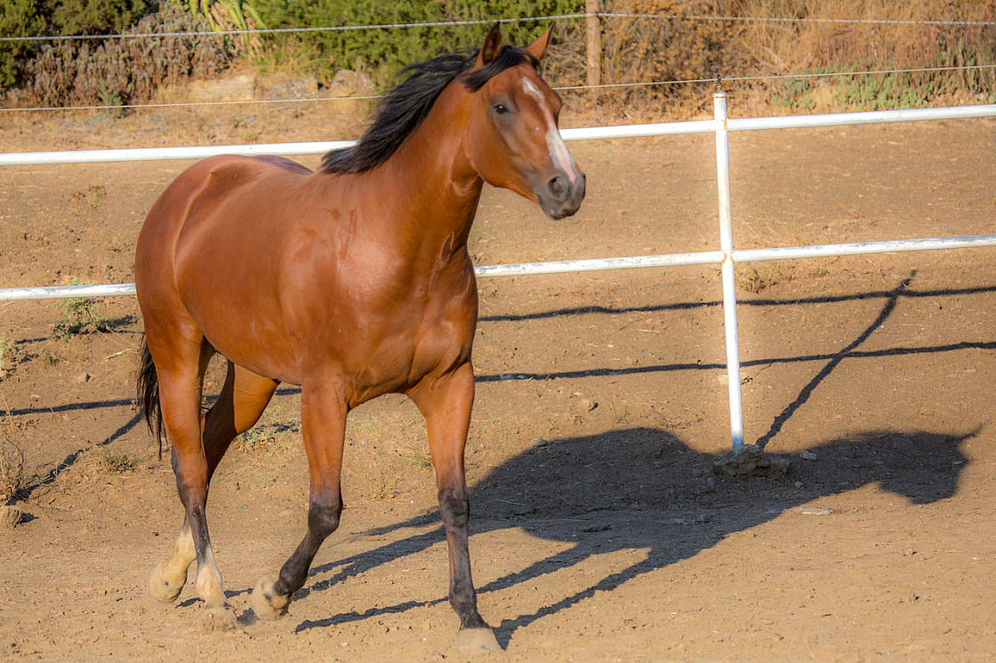 20120815185603 14706