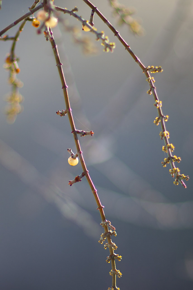 20120313090325 4873