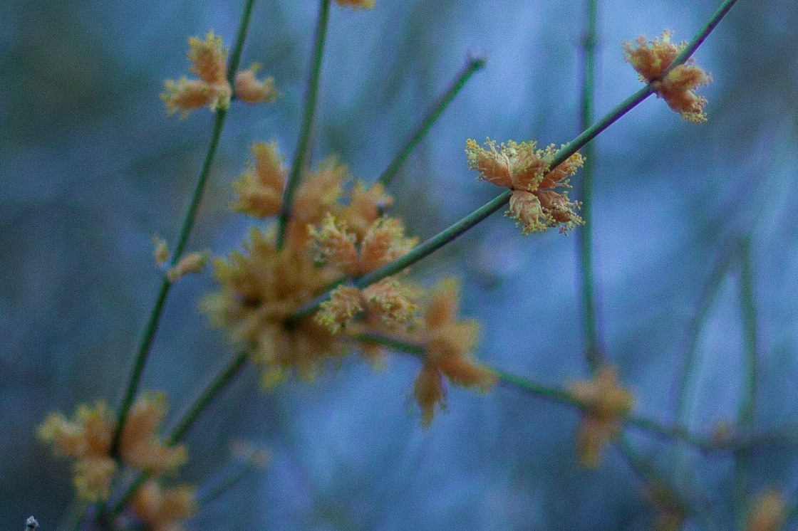 20120314191525 5343