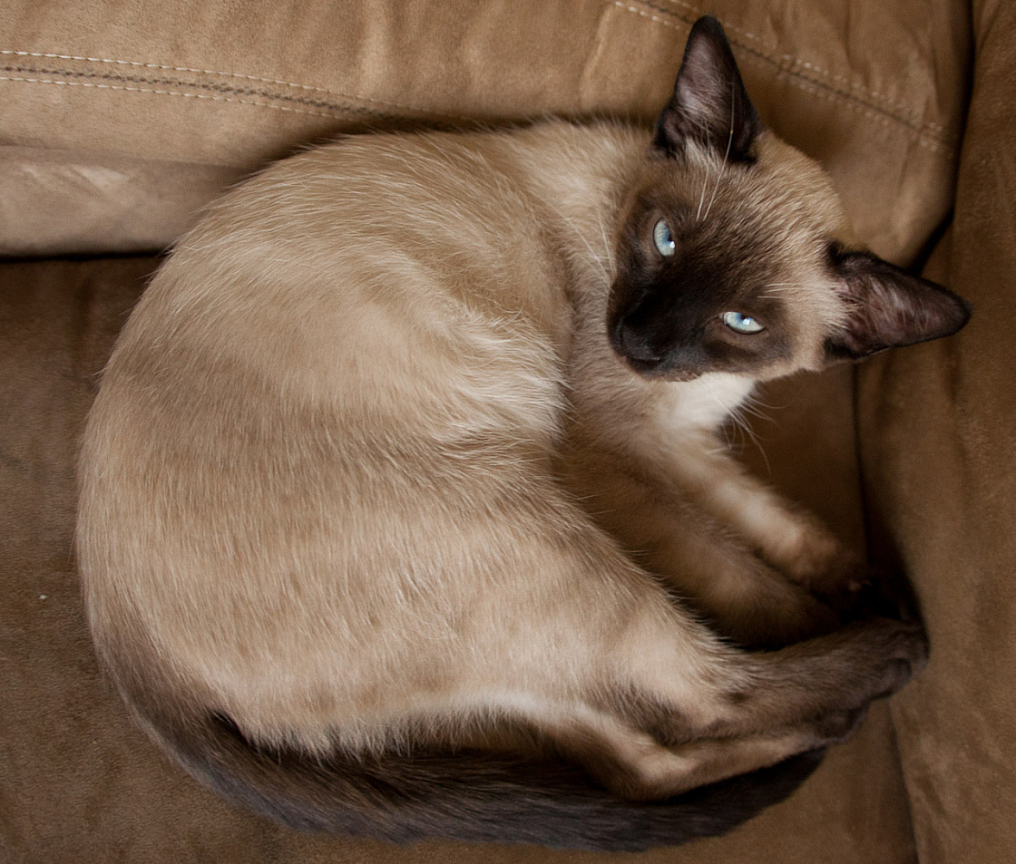20120306141412 3873