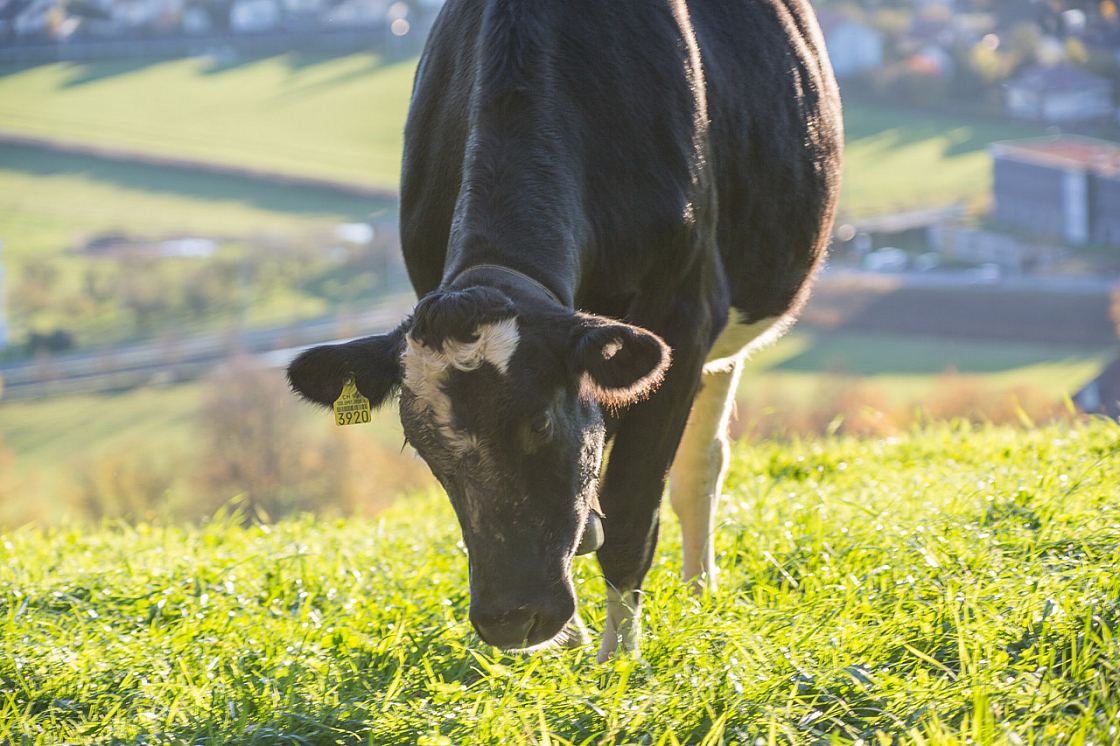 20131109161030 29239