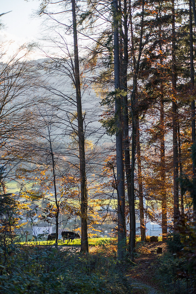 20131109161348 29274