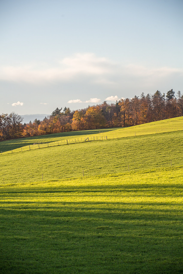 20131109161712 29285