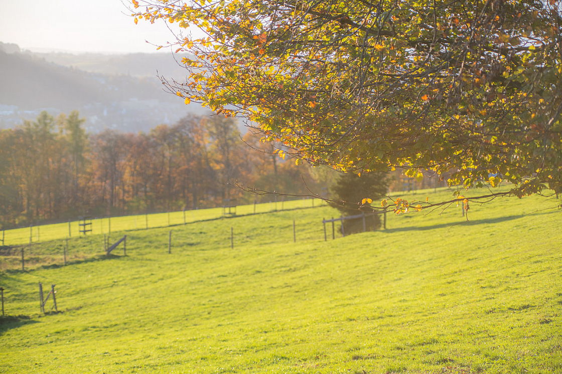 20131109162402 29314