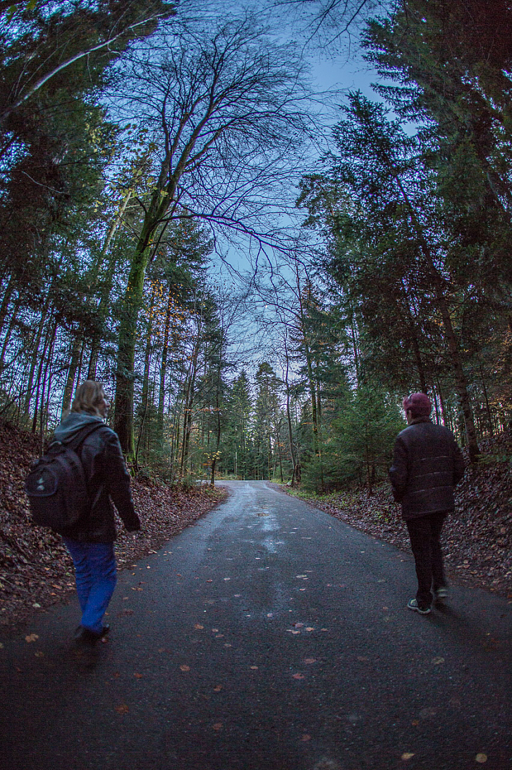 20131109171026 29439