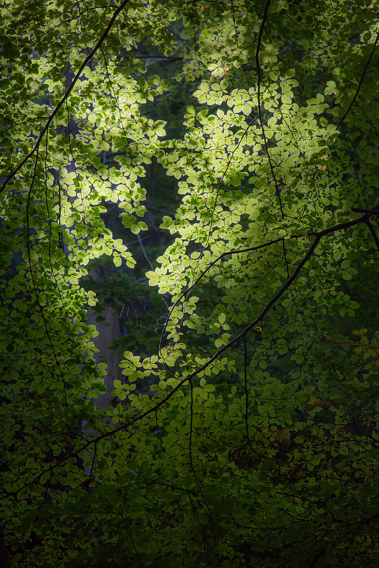 20131003115718 24942