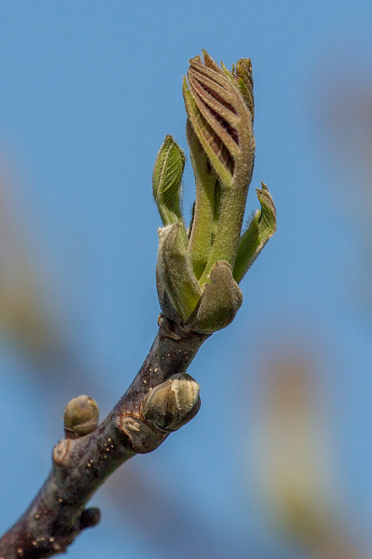 20130424084903 22672
