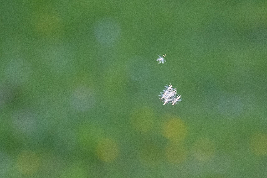 20130511195842 27009