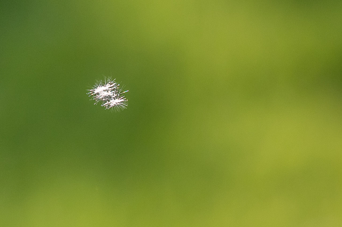 20130511195914 27025