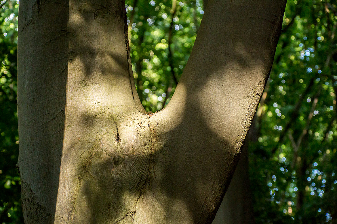 20130615193247 29542