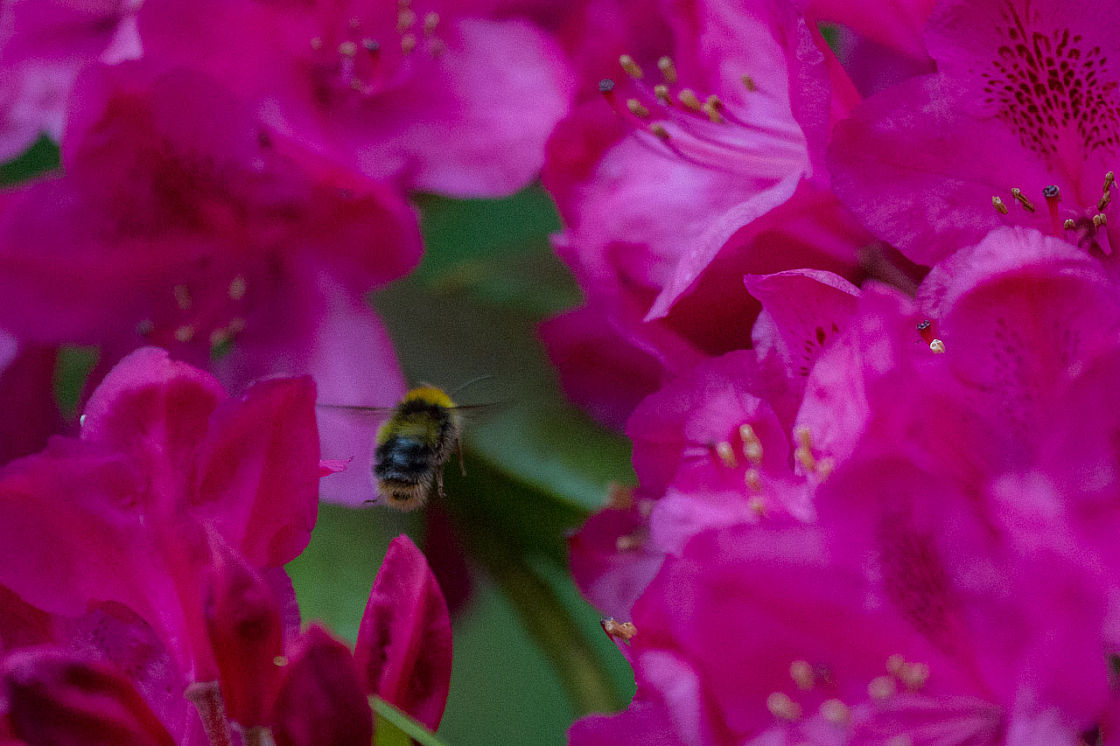 20130616203005 29730