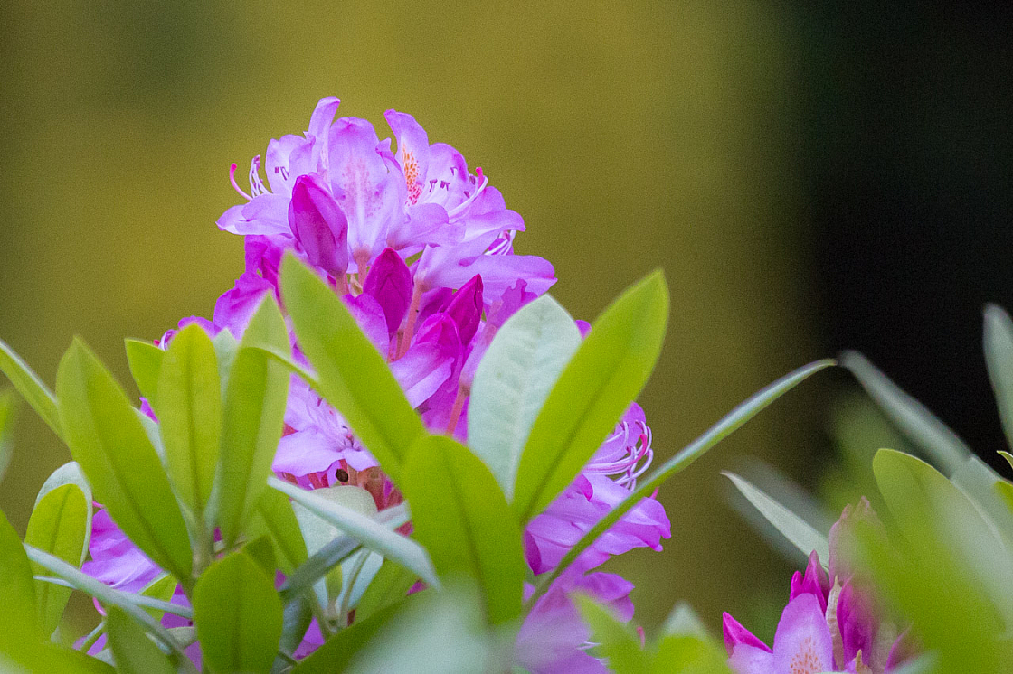 20130616205218 29814