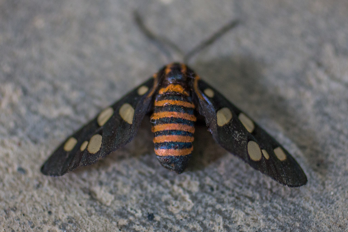 20131227125346 34514