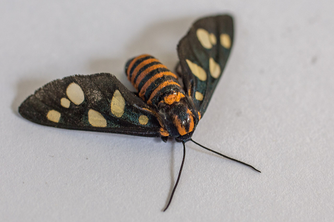 20131227125725 34562