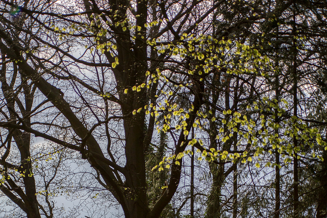 20130501182041 25119