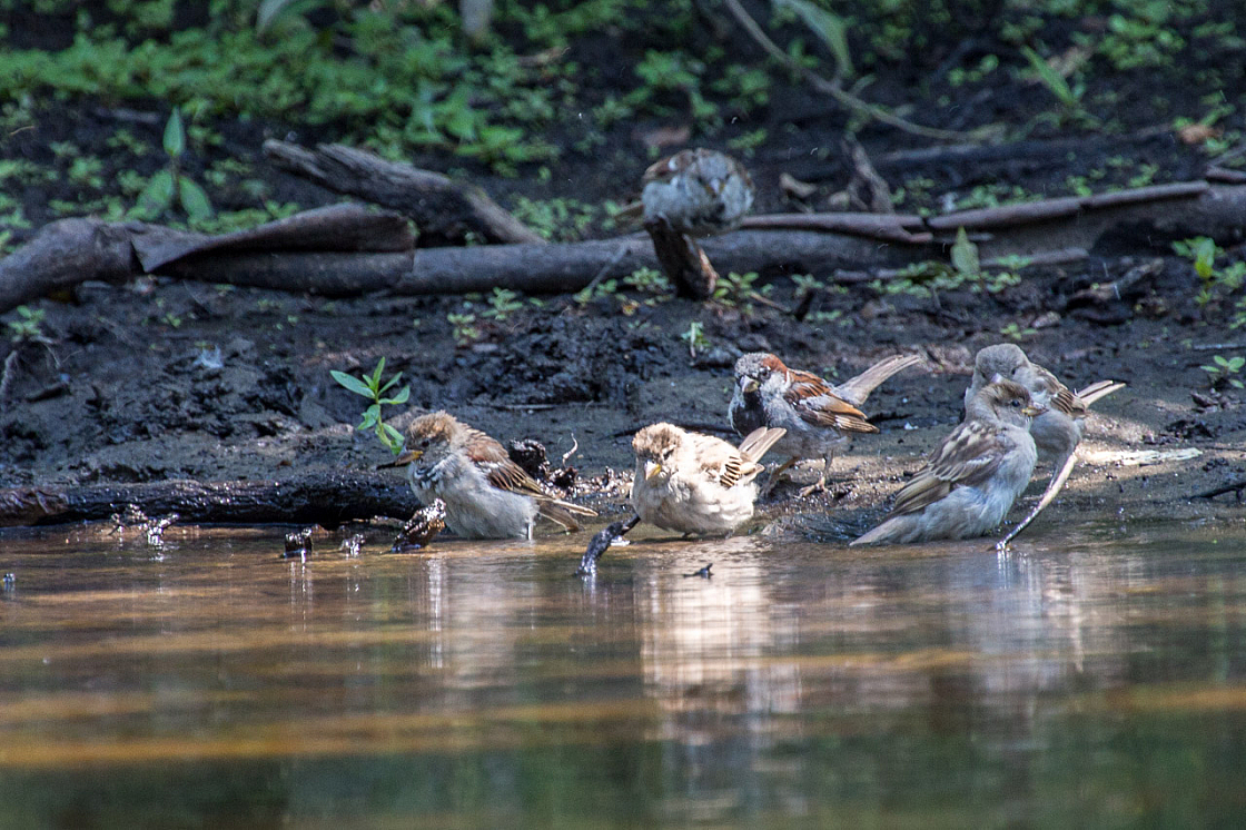 20130812125826 20894