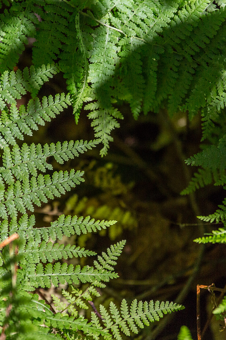 20130810180600 29512