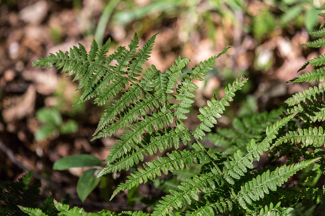 20130810181425 29544