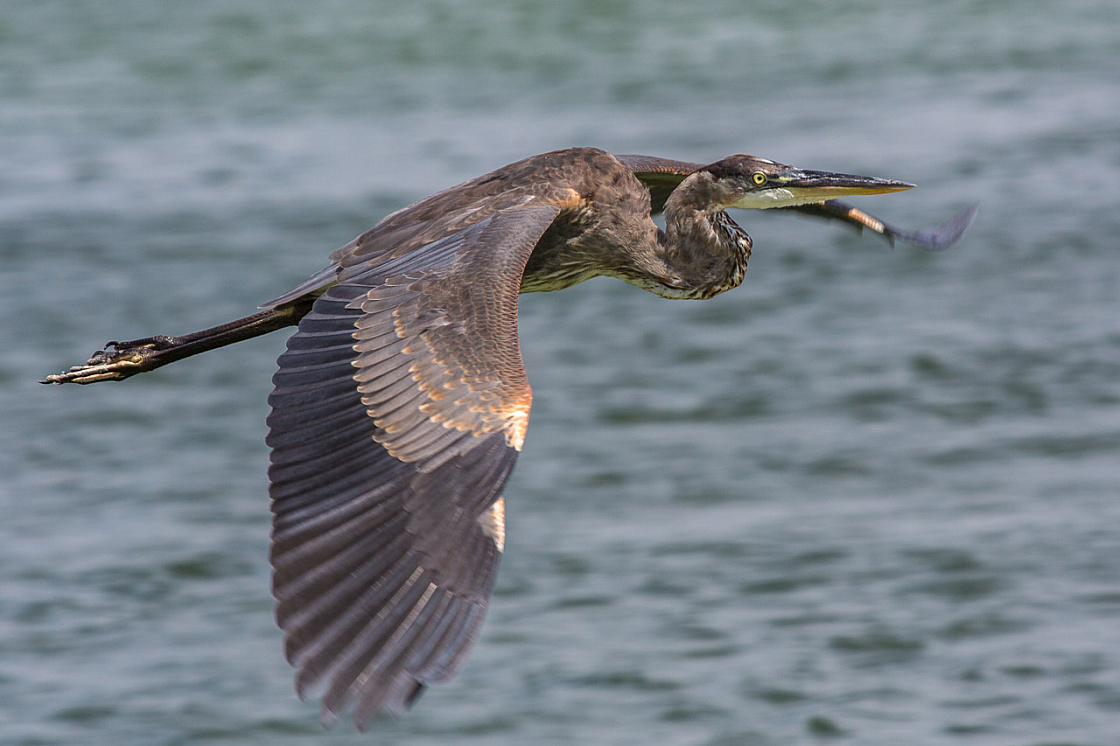 20130805160609 28254