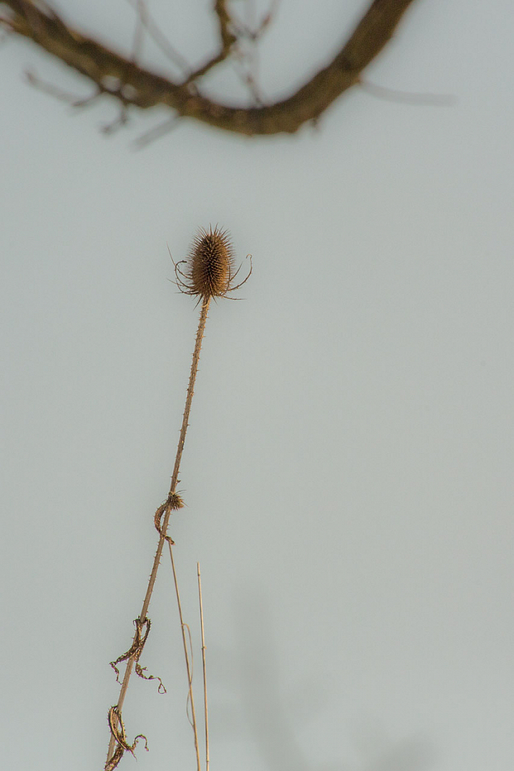 20130303200900 29869