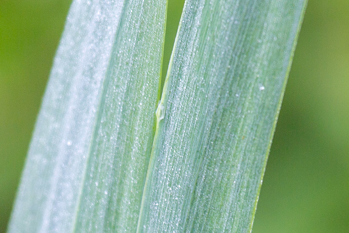 20130516064818 27148