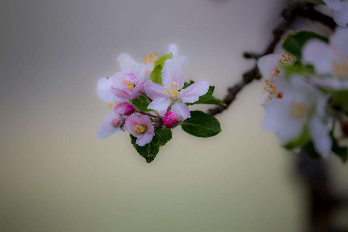 20130516071503 27289