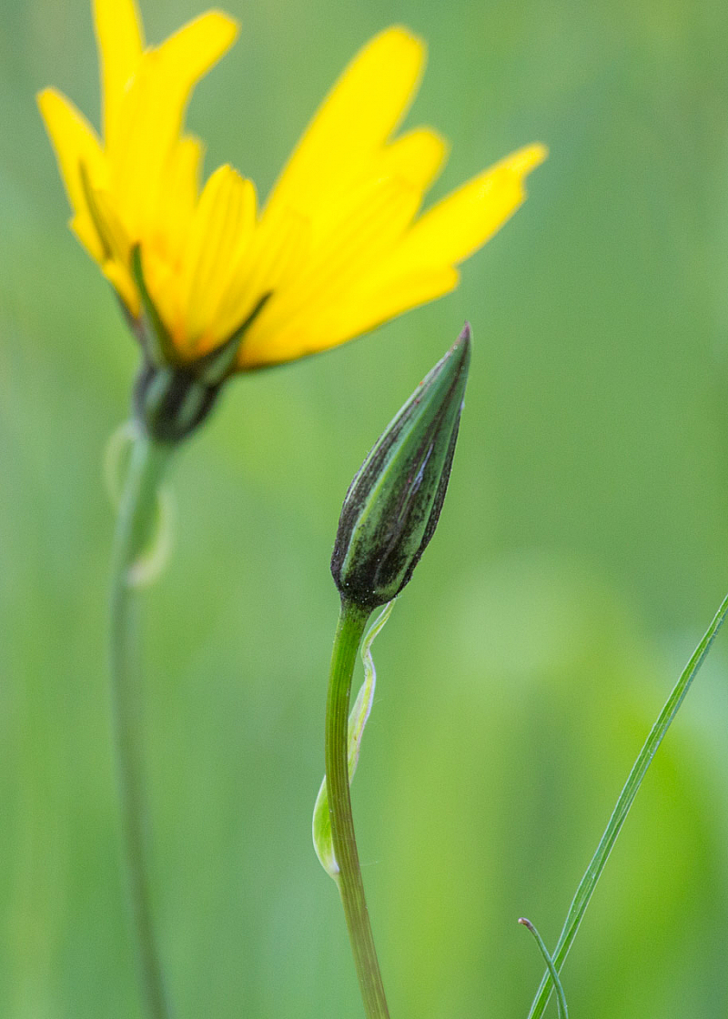 20130519090320 27451