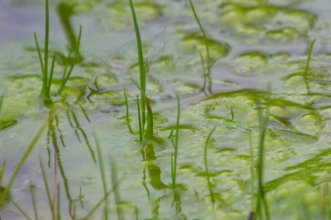 20131014090618 27344