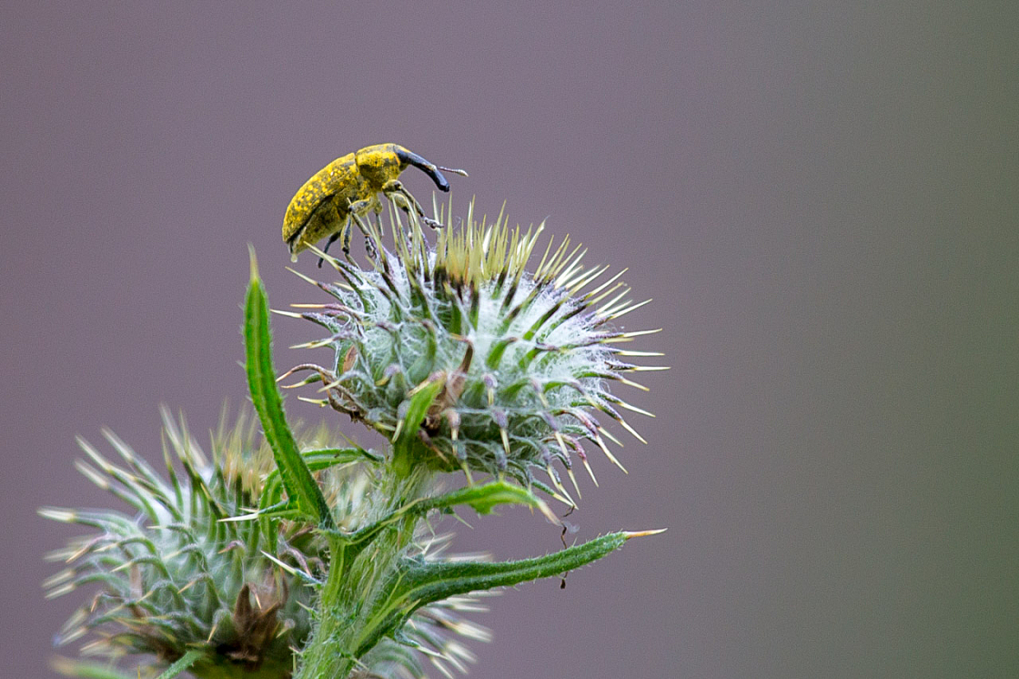 20140720155842 64150