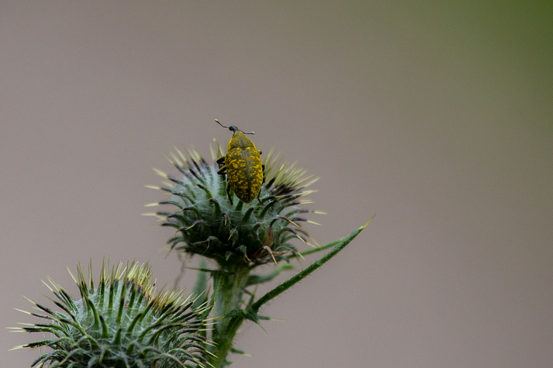 20140720155957 64163