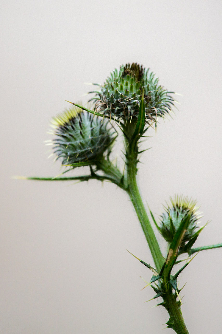 20140720160010 64165